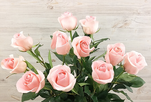Нежно-розовая роза (Голландия, 60 см)